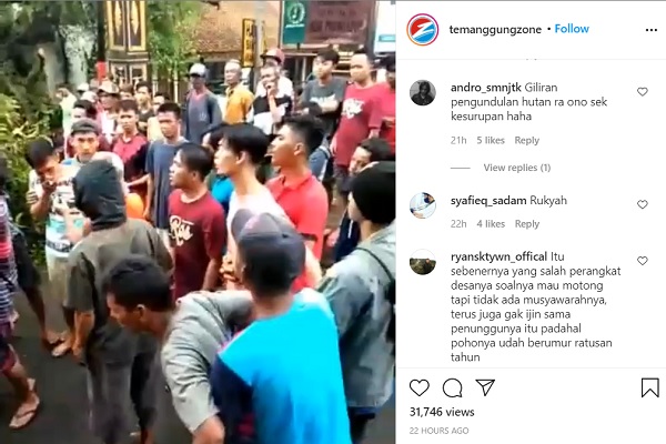 Viral Video Warga Pringapus Temanggung Kesurupan Gegara Pohon Beringin Ditebang