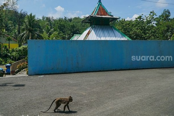 Konon Santri Tidak Mau Salat Bakal Jadi Monyet di Masjid Ini