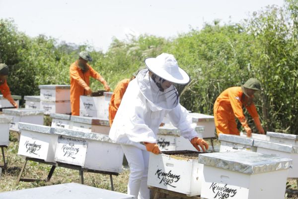 Laris Diburu! Ini 5 Jenis Madu Yang Paling Banyak Dicari Selama Pandemi