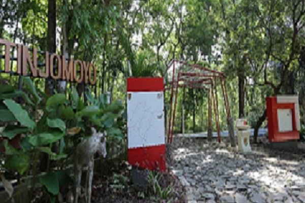 Merasakan Sensasi Joging di Hutan Wisata Tinjomoyo