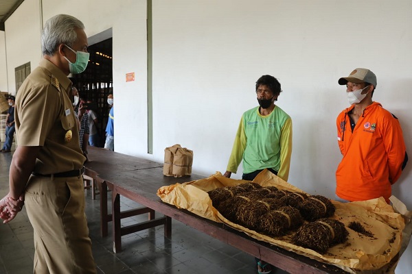 Panen Raya, Gubernur Jateng Minta Pabrik Segera Beli Tembakau Petani Temanggung
