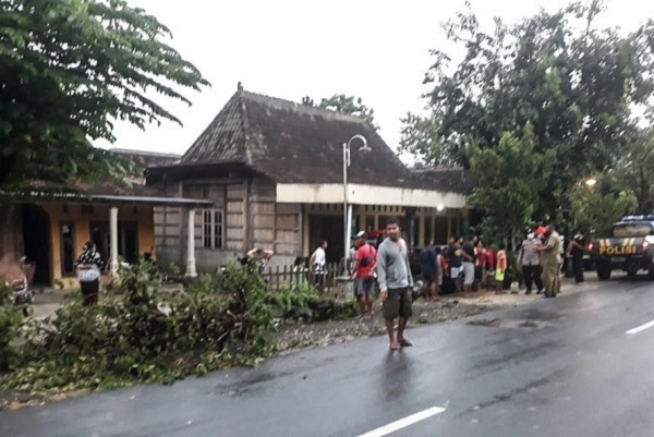 Pelajar SMP di Sragen Tertimpa Pohon Tumbang Saat Naik Motor