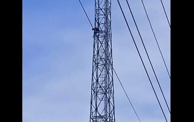 Pria di Grobogan Naik Tower Seluler Coba Bunuh Diri