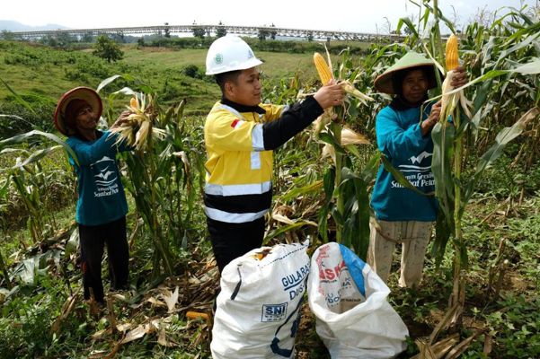 Manfaatkan Limbah Bonggol Jagung, Begini Cara Semen Gresik Implementasikan Industri Hijau