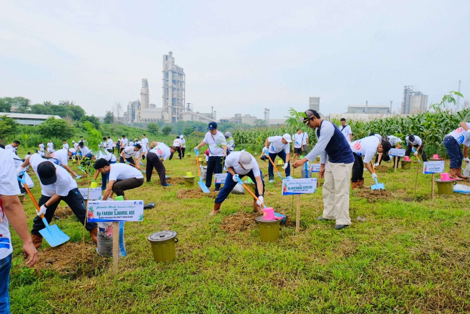 Kembangkan Energi Biomassa, Semen Gresik Tanam 1.000 Pohon Kaliandra di Lingkungan Perusahaan