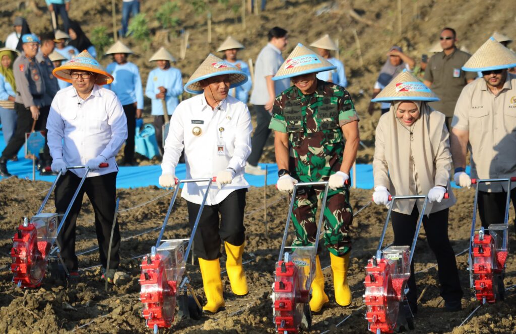 Tanam Jagung di Grobogan, Gubernur Ahmad Luthfi Dukung Penuh Program Swasembada Pangan