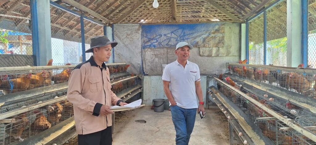 Sumanto Ajak Masyarakat Beternak Ayam Karena Menguntungkan