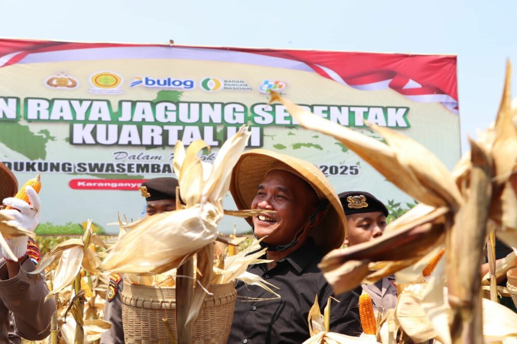 Dorong Sektor Pertanian, Ketua DPRD Jateng Sumanto Ikut Panen Raya Jagung di Karanganyar