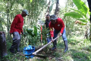 Bagi Ketua DPRD Jateng Sumanto, menanam pohon bukan sekadar aktivitas seremonial. Kegiatan Jogo Kali Menanam Bumi tersebut juga rutin ia lakukan setiap minggu di Kabupaten Karanganyar. (Istimewa)