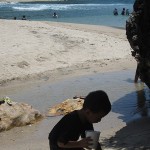 Belajar dari  Pantai