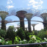 Hutan, Gunung, dan Air Terjun Buatan di Tengah Kota