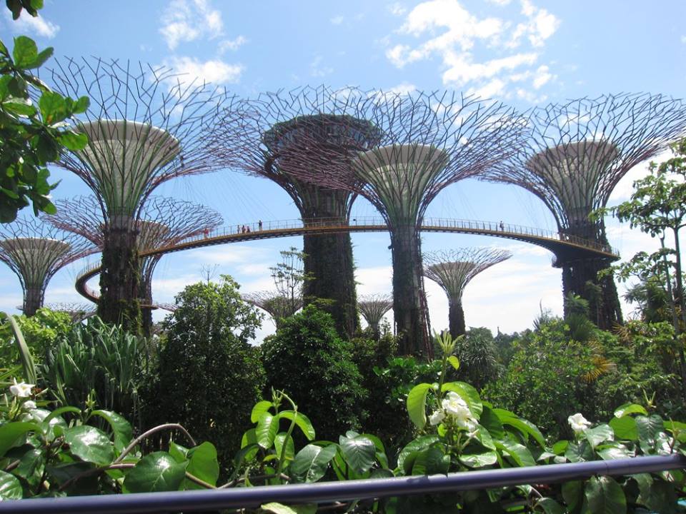 Hutan, Gunung, dan Air Terjun Buatan di Tengah Kota