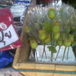 Mengunjungi (Bekas) Penjualan Terbesar Opium