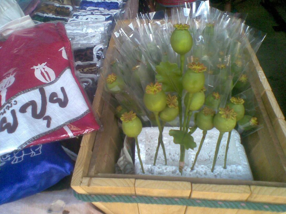 Mengunjungi (Bekas) Penjualan Terbesar Opium