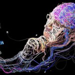 Bersama Solopos Aku Menolak The Shallows