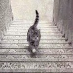 Naik = ke atas, turun = ke bawah, belok = ke samping, masuk = ke dalam, keluar = ?