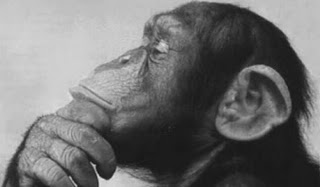 Darwin!! kami ini manusia atau kera?