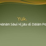 Menanam Sawi Hijau Dalam Pot