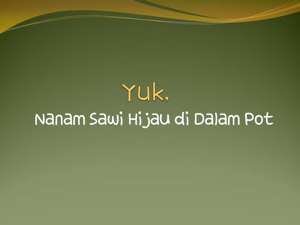 Menanam Sawi Hijau Dalam Pot