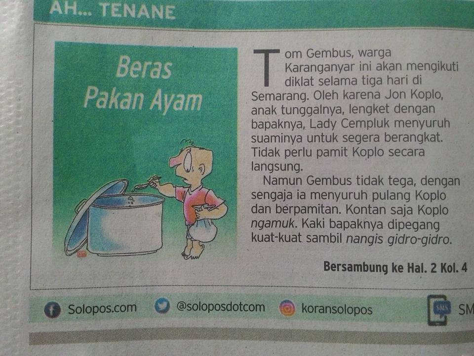 Nulis Ah Tenane: Beras Pakan Ayam