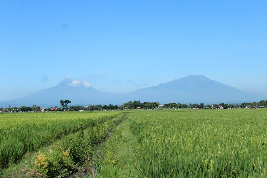 SEJARAH DAN SERBA SERBI DESA DIBAL
