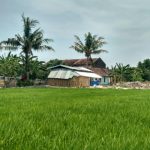 Mari Bersholawat Melalui Grup Hadroh