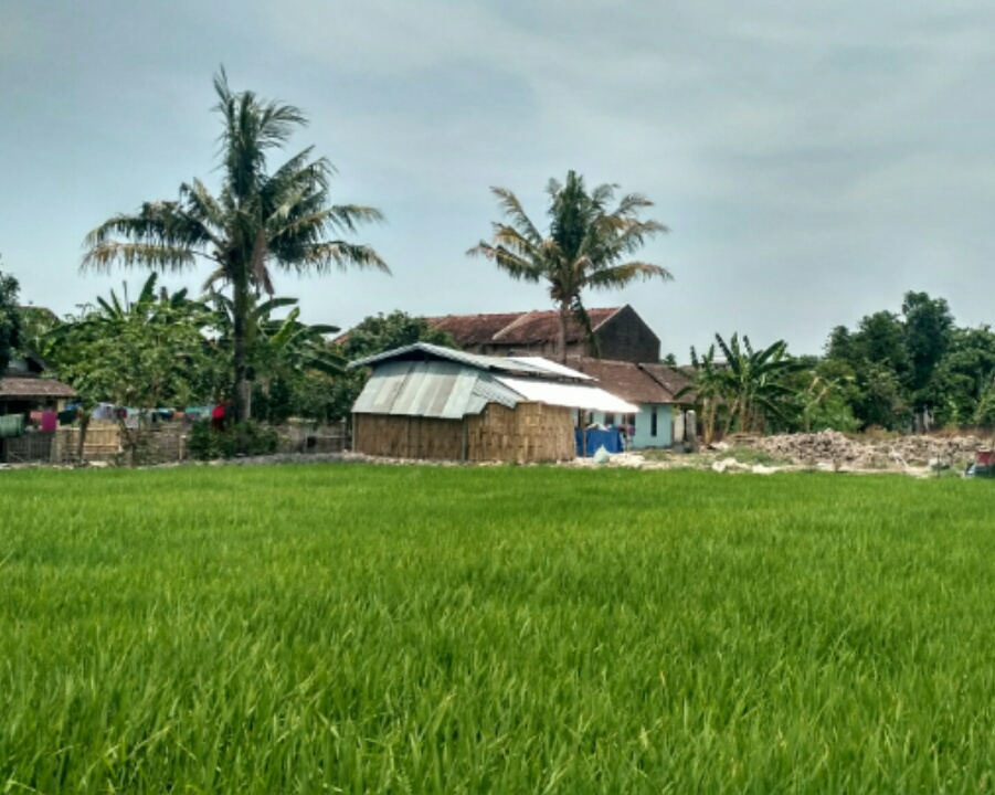 Mari Bersholawat Melalui Grup Hadroh