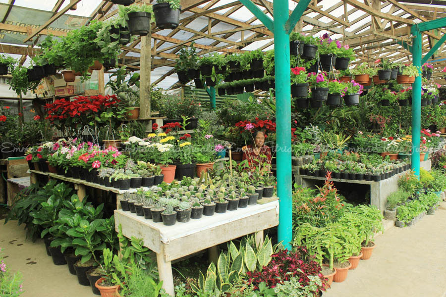 Mampir di pasar kopeng