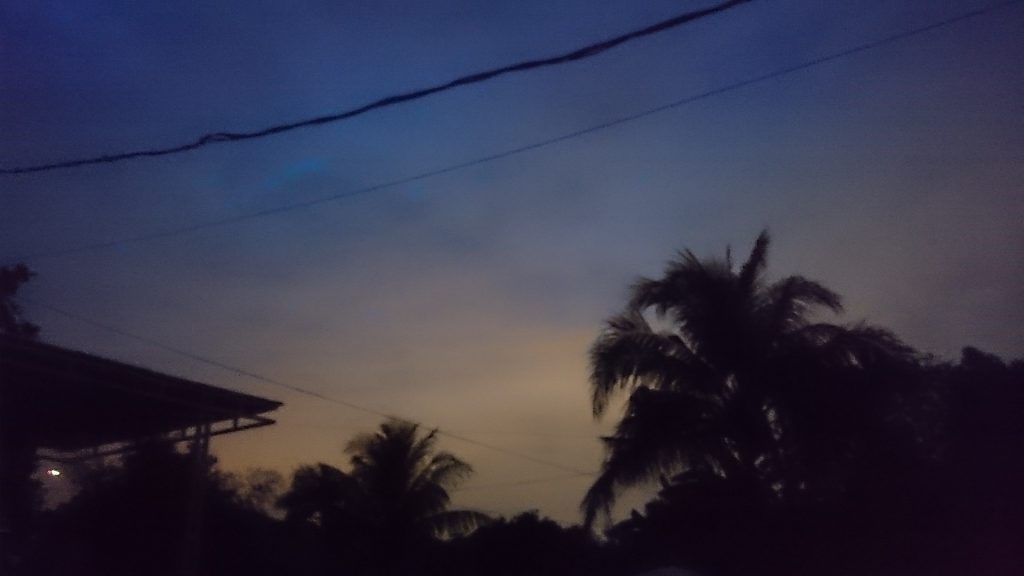 PENTINGNYA PARTISIPASI dan KONTROL PEMILIH TERHADAP KESULURUHAN PROSES PEMILIHAN