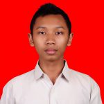 Peran Pemerintah Dalam Perekonomian Negara Maju