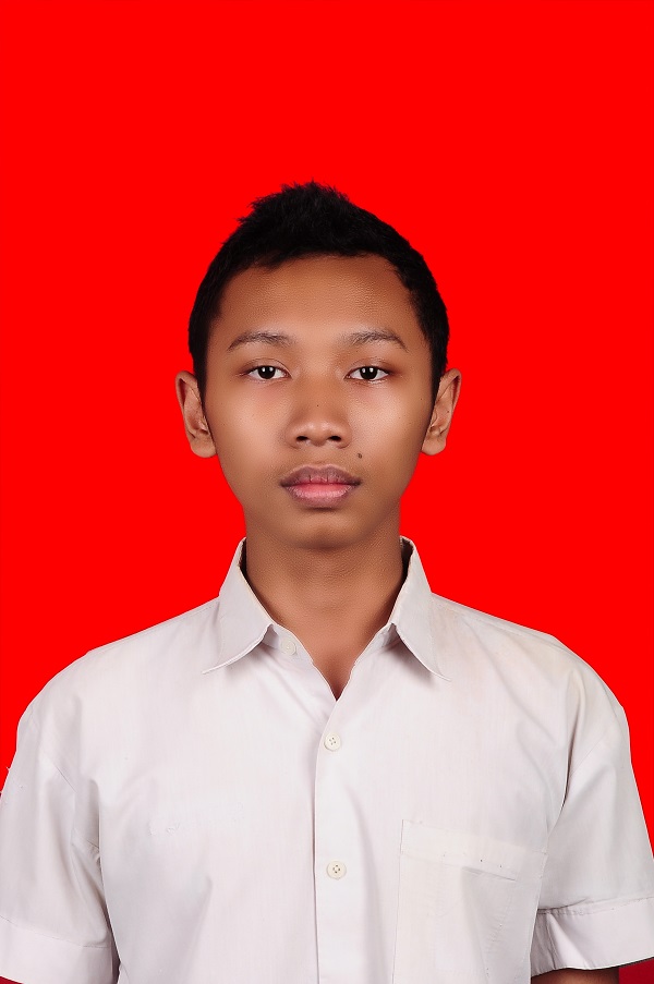 Peran Pemerintah Dalam Perekonomian Negara Maju