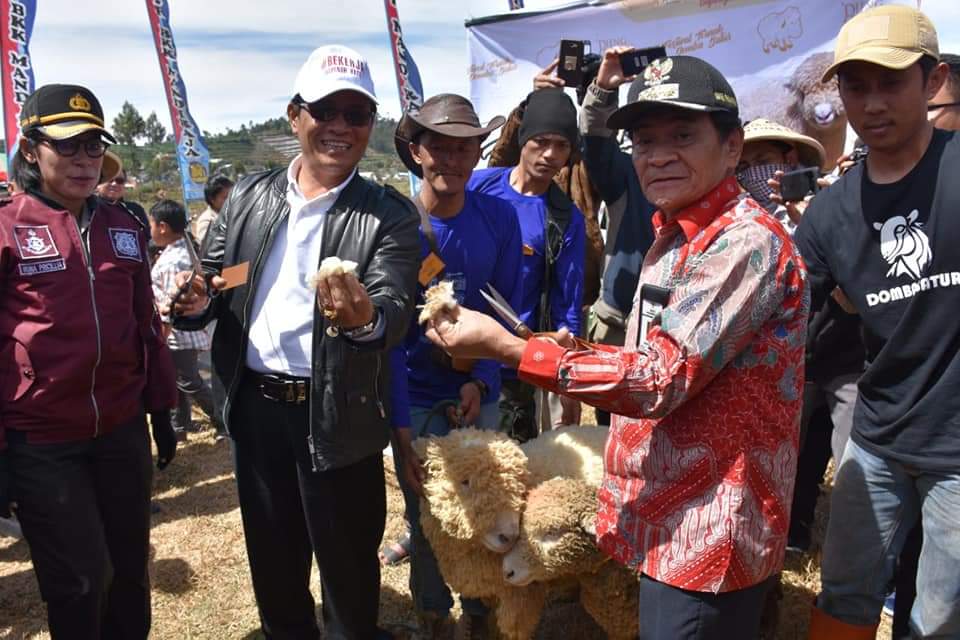 Domba Batur Segudang Potensi