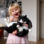 6 Cara Simpel Merawat Kucing Kesayangan