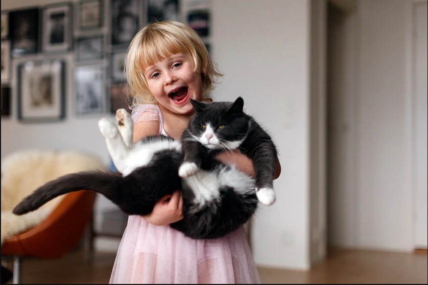 6 Cara Simpel Merawat Kucing Kesayangan