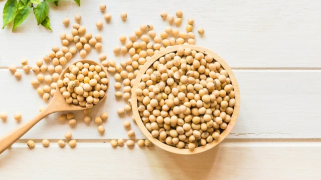 IRONI KEDELAI IMPOR DI NEGERI TEMPE