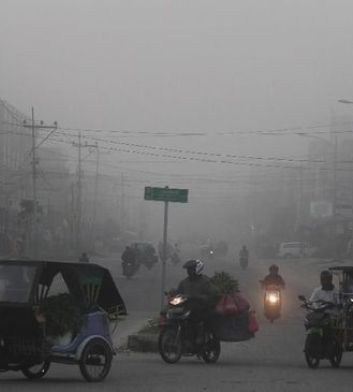 Dampak Kebakaran Hutan