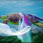 DAMPAK PENCEMARAN LAUT