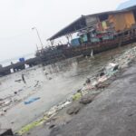 Kerusakan Ekosistem Sumber Daya Hayati