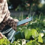 Hanya Satu Klik, Distribusi Hasil Panen Jadi Mudah