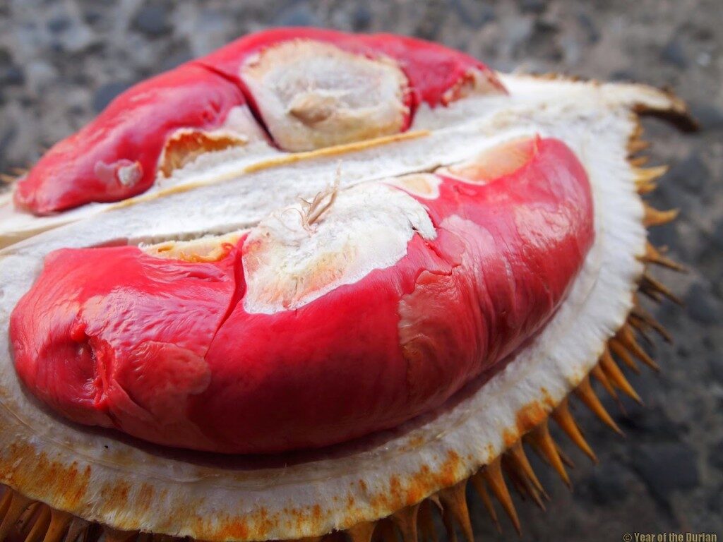 Yuk Mampir ke 5 Pusat Oleh Oleh Banyuwangi