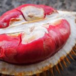 Yuk Mampir ke 5 Pusat Oleh Oleh Banyuwangi