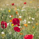 Ciri Khusus Hewan dan Tumbuhan