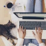 Produktif Lebih Besar walaupun Work From Home (WFH)