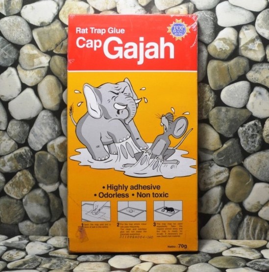 Jaga Rumah Anda Dengan Lem Tikus Cap Gajah