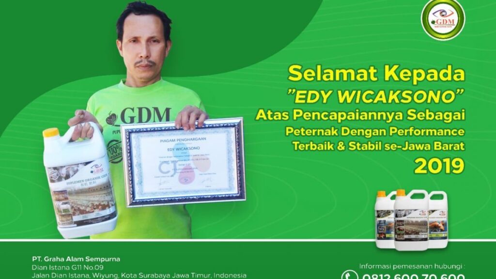 Peternak Ayam Broiler Berprestasi, Sukses Dengan Menggunakan GDM Organik