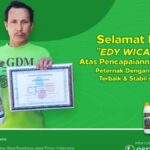 Peternak Ayam Broiler Berprestasi, Sukses Dengan Menggunakan GDM Organik