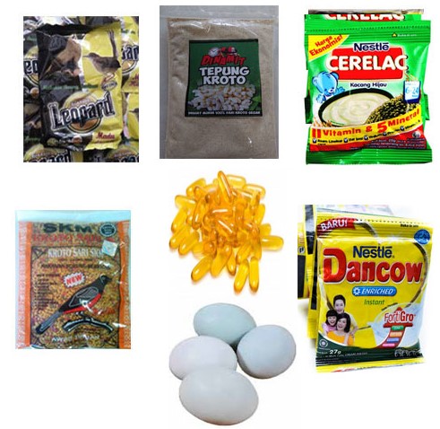 Racikan Khusus Pakan Ciblek Agar Gacor dan Juara !