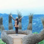 Hutan Pinus Pengger, Wisata Alam Terbaru di Jogja yang Hits