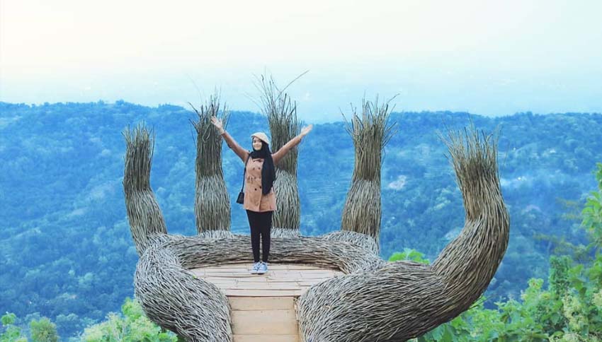 Hutan Pinus Pengger, Wisata Alam Terbaru di Jogja yang Hits