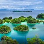 Raja Ampat – Surga yang Tersembunyi di Bumi Papua